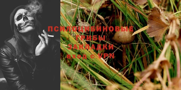 мет Козловка