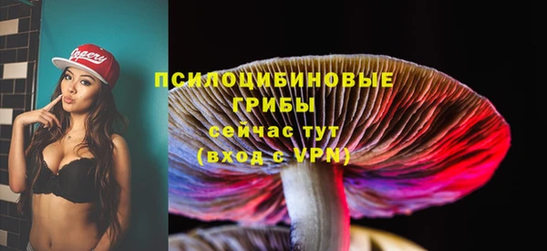 не бодяженный Осташков