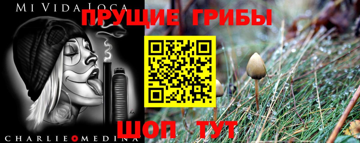 Новотроицк  Псилоцибиновые грибы ЛСД  как найти закладки  Вход с VPN 