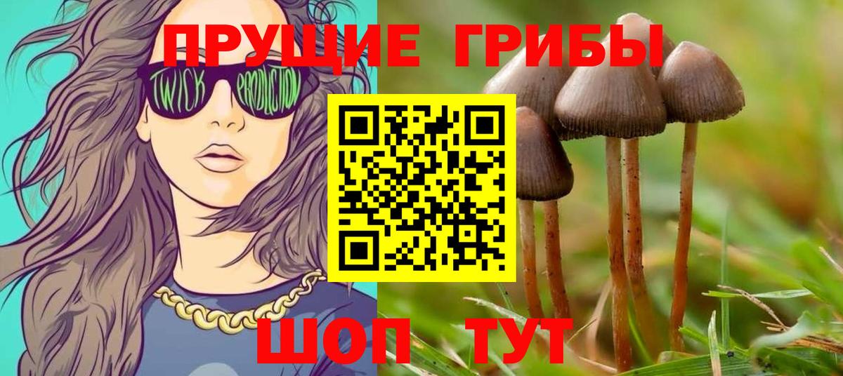 Галлюциногенные грибы Cubensis Новотроицк