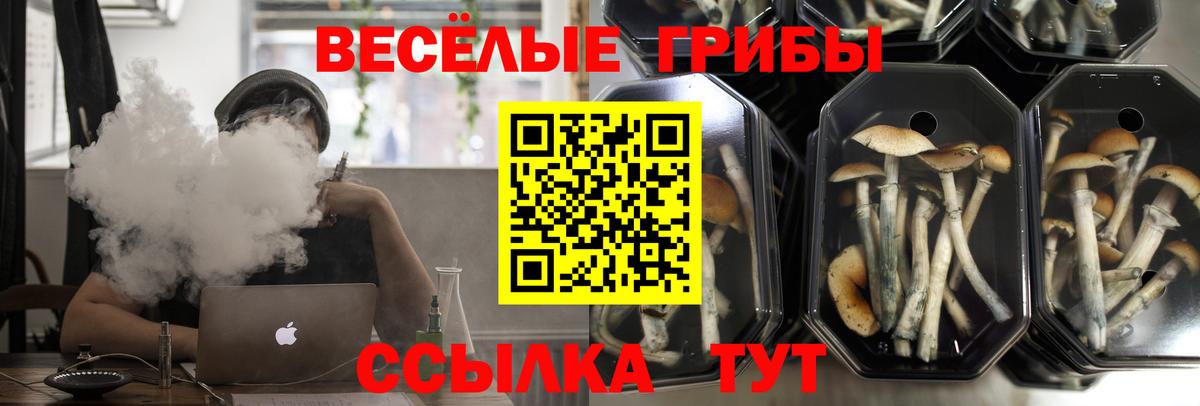 Псилоцибиновые грибы MAGIC MUSHROOMS  Новотроицк 