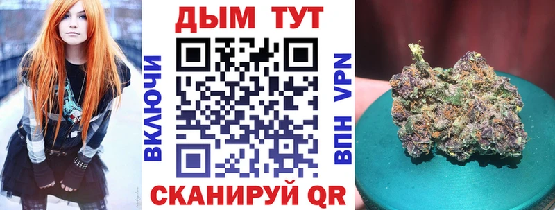 Бошки марихуана марихуана  купить  сайты  Новотроицк 